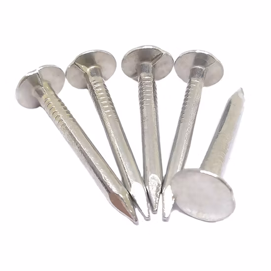 Großer Kopf, z. B. Schlagnägel