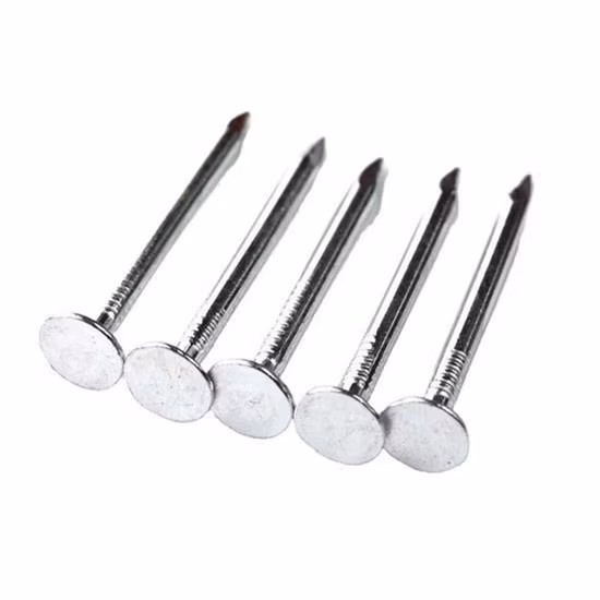 Schlagnägel/Deckennägel/Filznägel, verzinkt 1